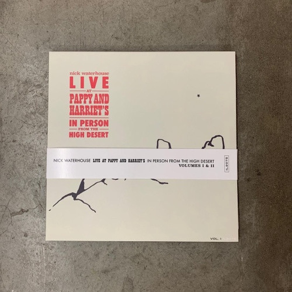 Nick Waterhouse – Live At Pappy & Harriet’s: In Person From The High Desert – 2x LP Vinyl