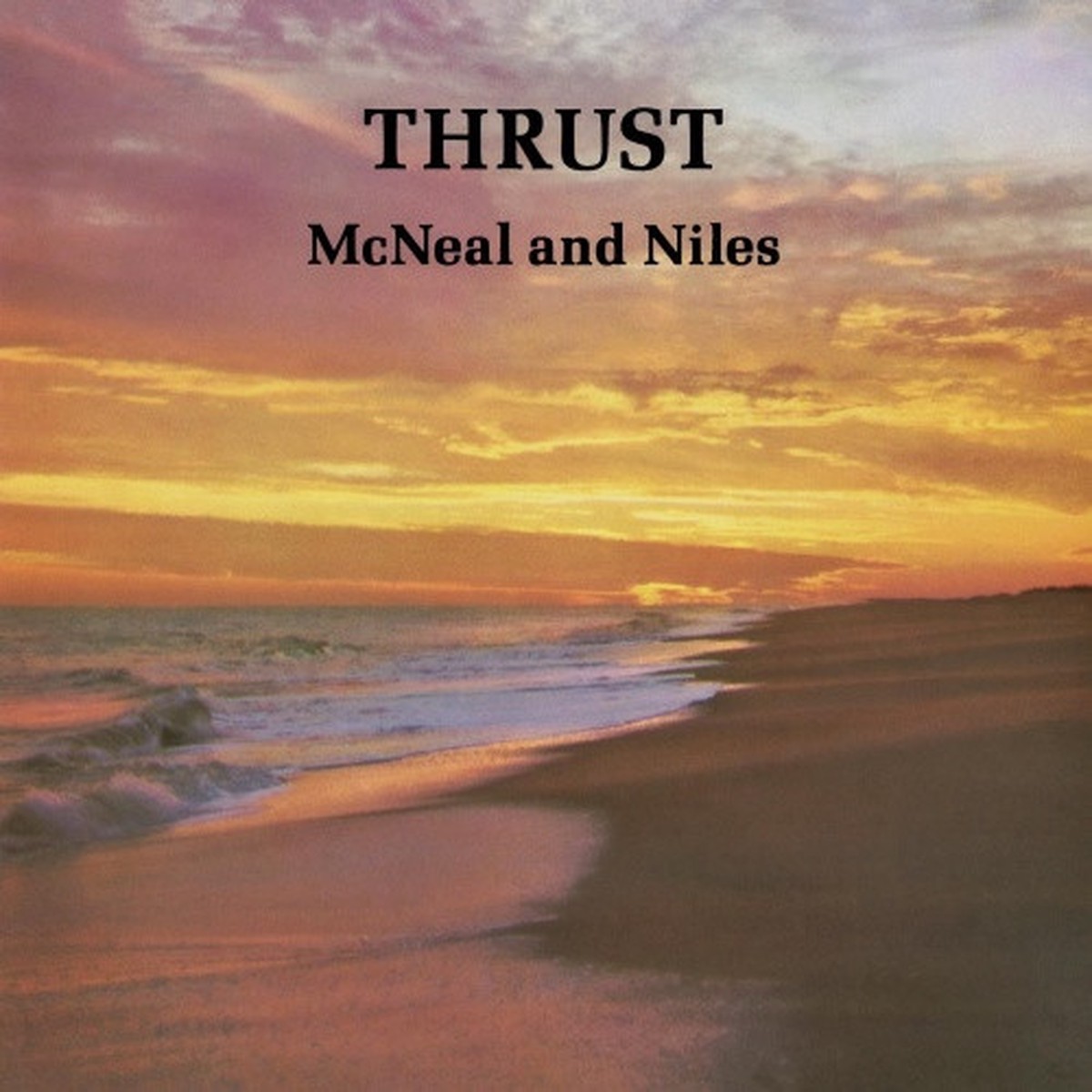McNeal & Niles – Thrust – LP Vinyl