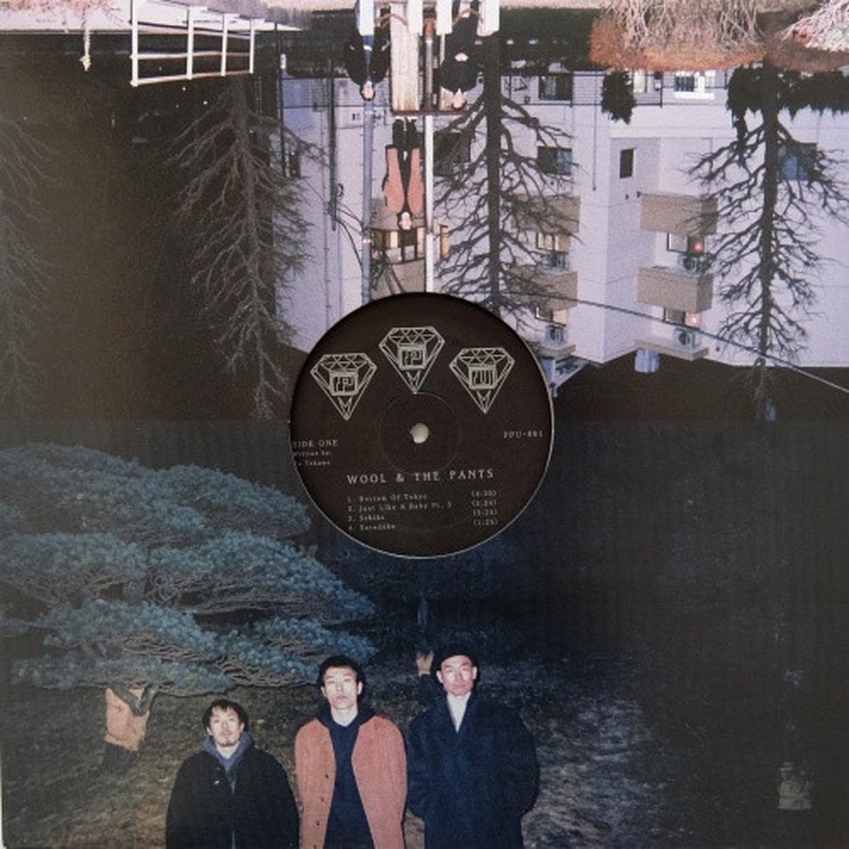 Wool & The Pants – Wool In The Pool – LP Vinyl