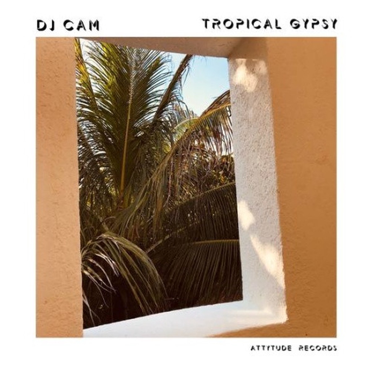 DJ Cam – Tropical Gypsy – LP Colored Vinyl