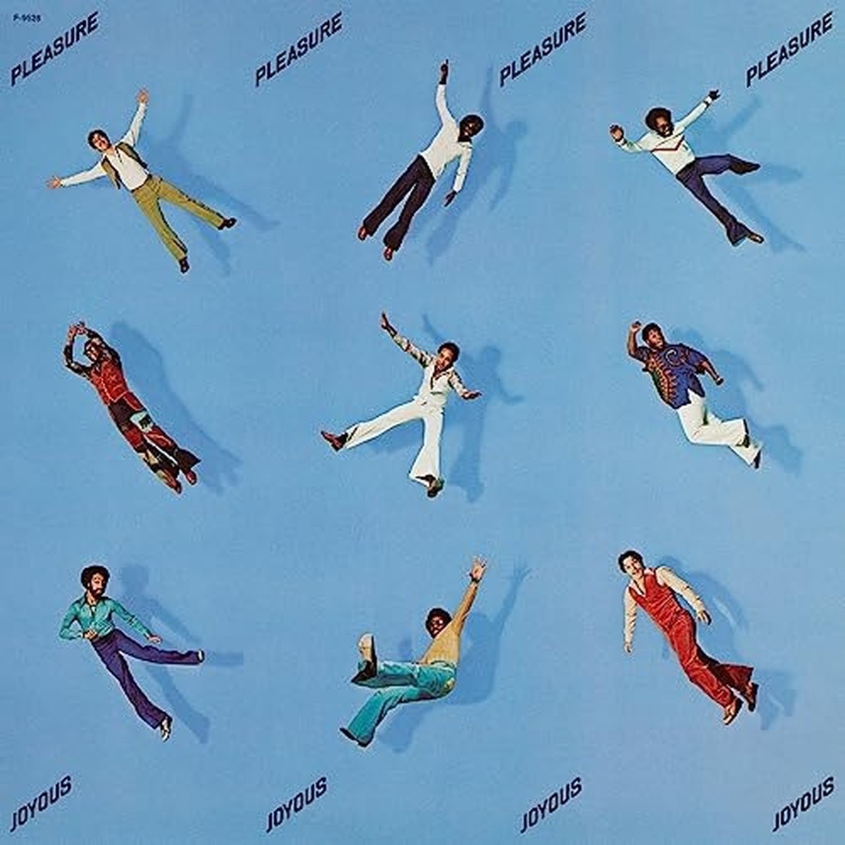 Pleasure – Joyous – LP Vinyl