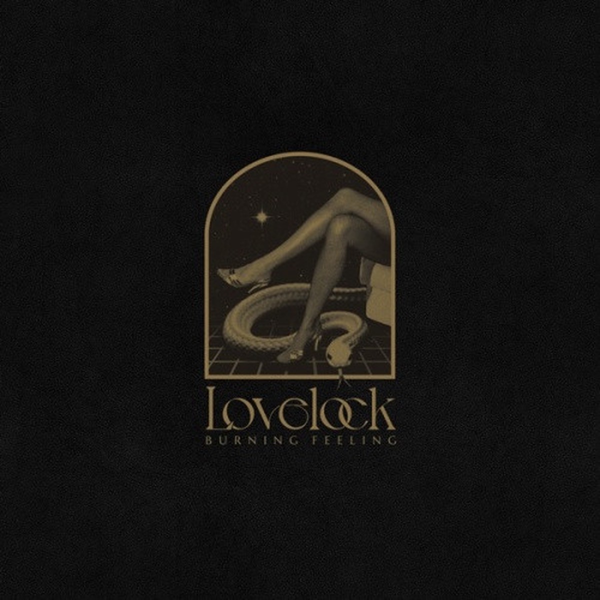 Lovelock – Burning Feeling – 2x LP Vinyl