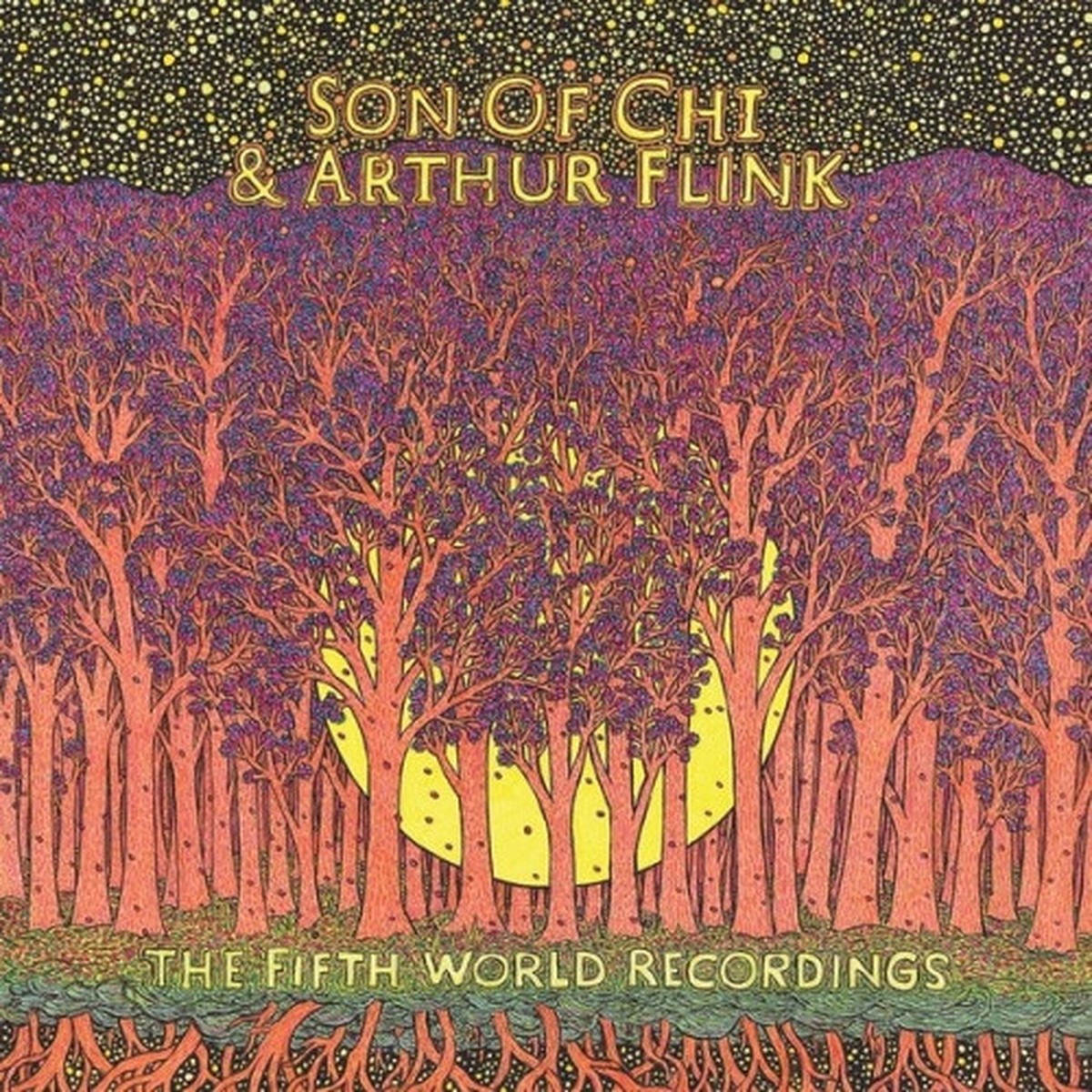 Son Of Chi & Arthur Flink – The Fifth World Recordings – LP Vinyl
