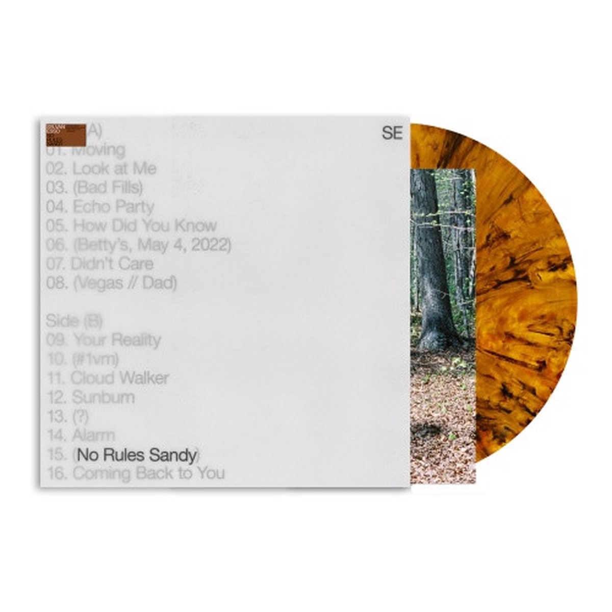 Sylvan Esso – No Rules Sandy – LP Colored Vinyl