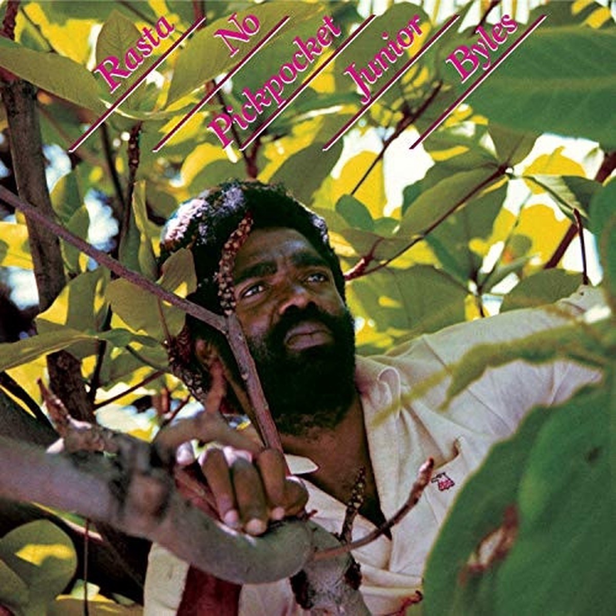 Junior Byles – Rasta No Pickpocket – LP Vinyl