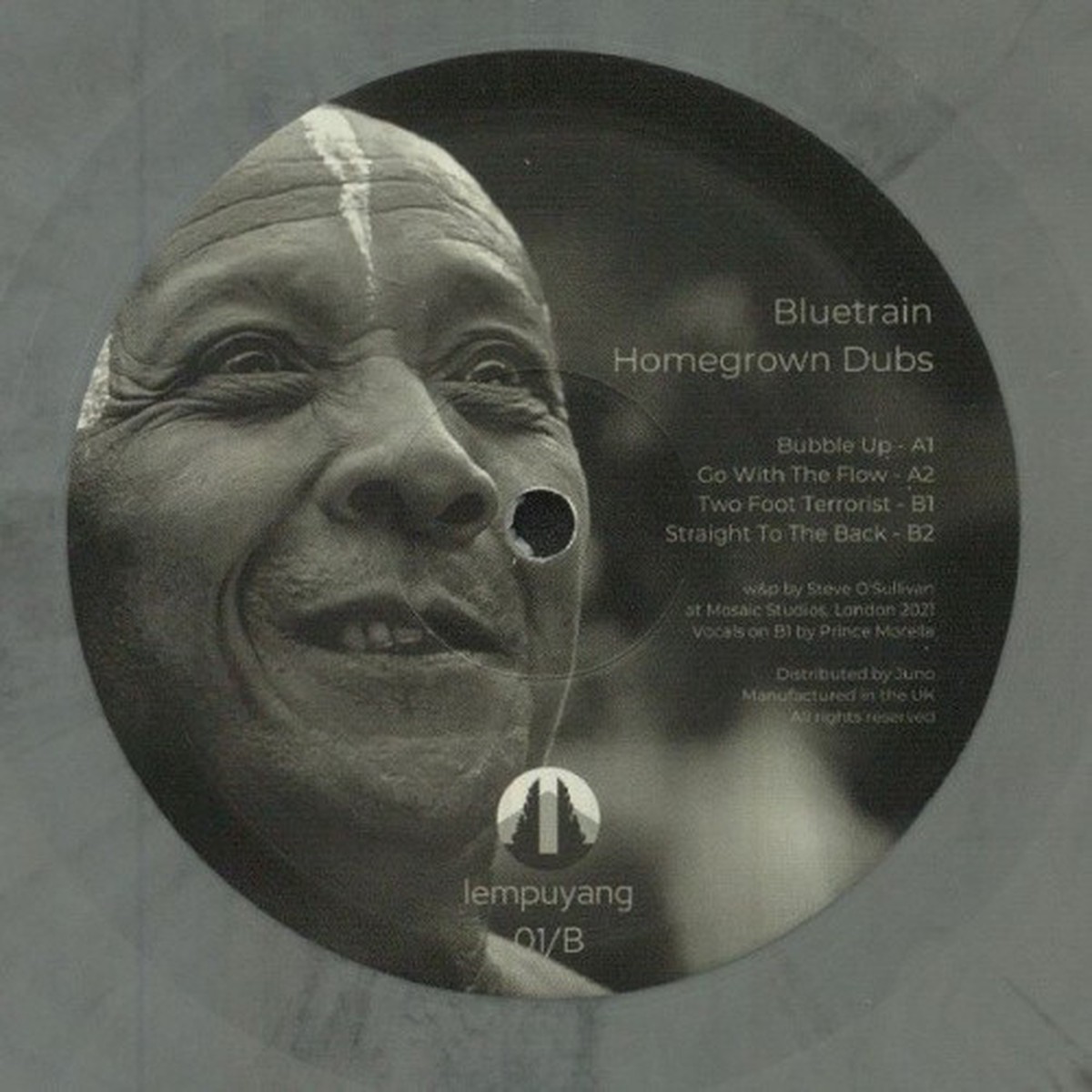 Bluetrain – Homegrown Dubs – 12″ Vinyl