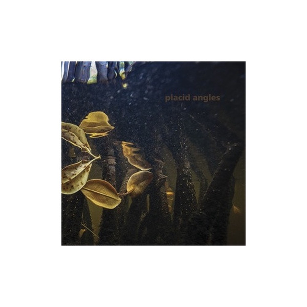 Placid Angles – Touch The Earth – 3x LP Vinyl