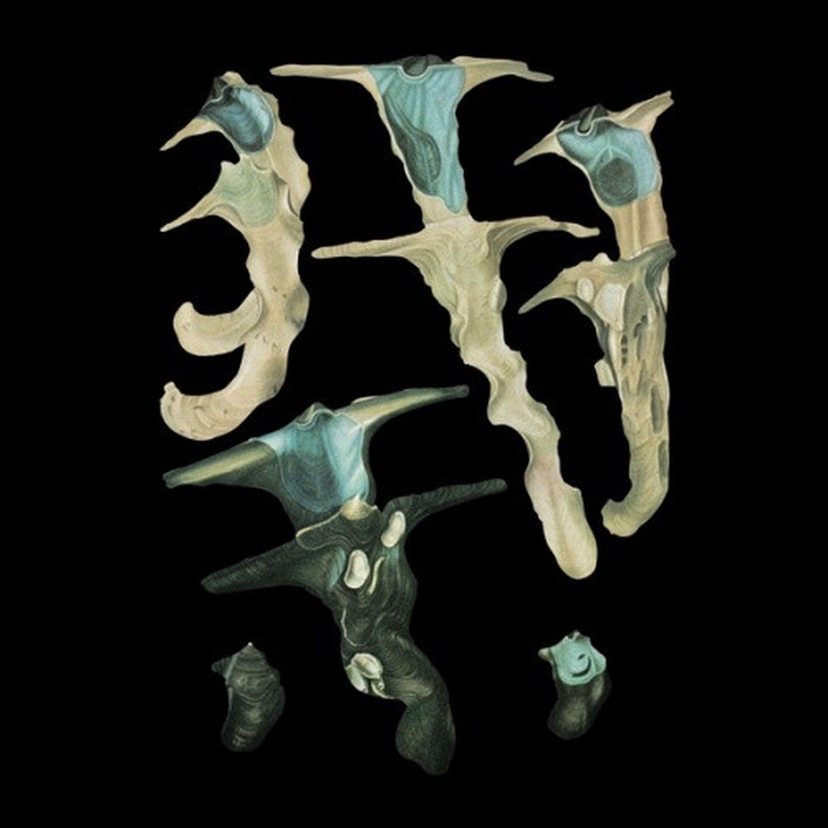 Rainforest Spiritual Enslavement – Jellyfish Reproduce Black Magic – 12″ Colored Vinyl