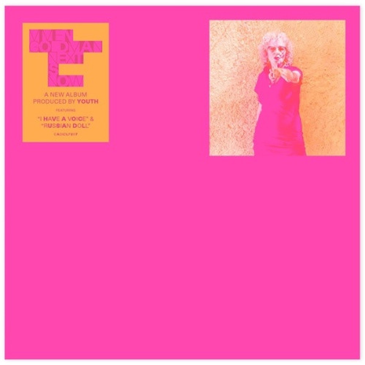 Vivien Goldman – Next Is Now – LP Vinyl