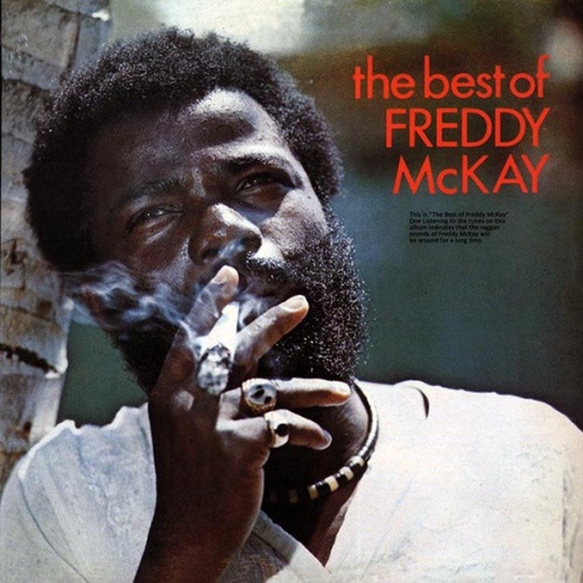 Freddy McKay – The Best Of – LP Vinyl