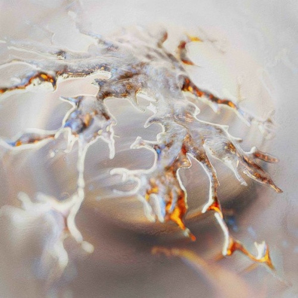 Kessler – Lunar – 12″ Vinyl
