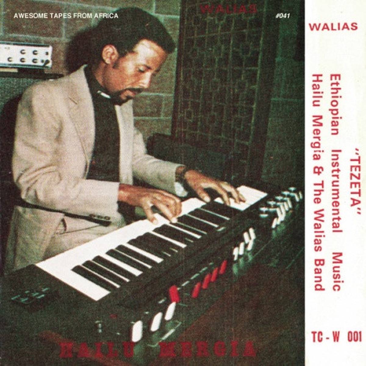 Hailu Mergia & The Walias Band – Tezeta – LP Vinyl