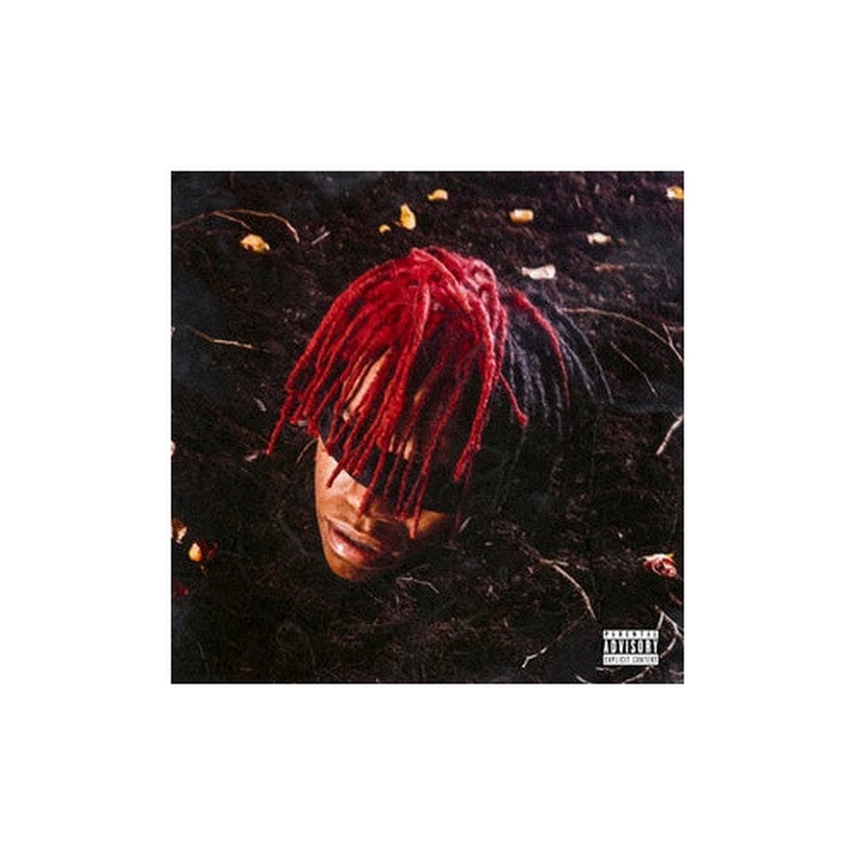 DC The Don – Funeral – LP Vinyl