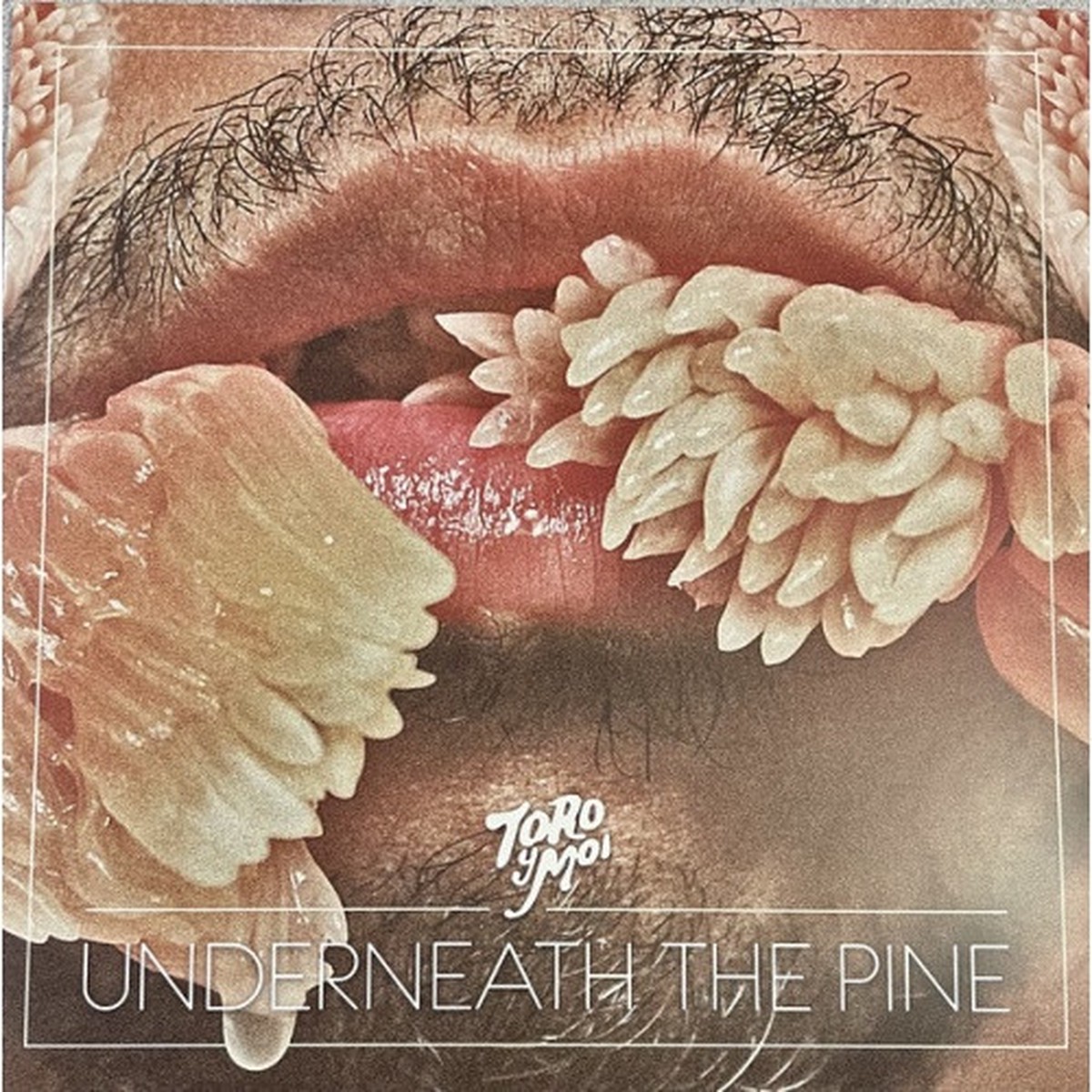 Toro Y Moi – Underneath The Pine – LP Colored Vinyl