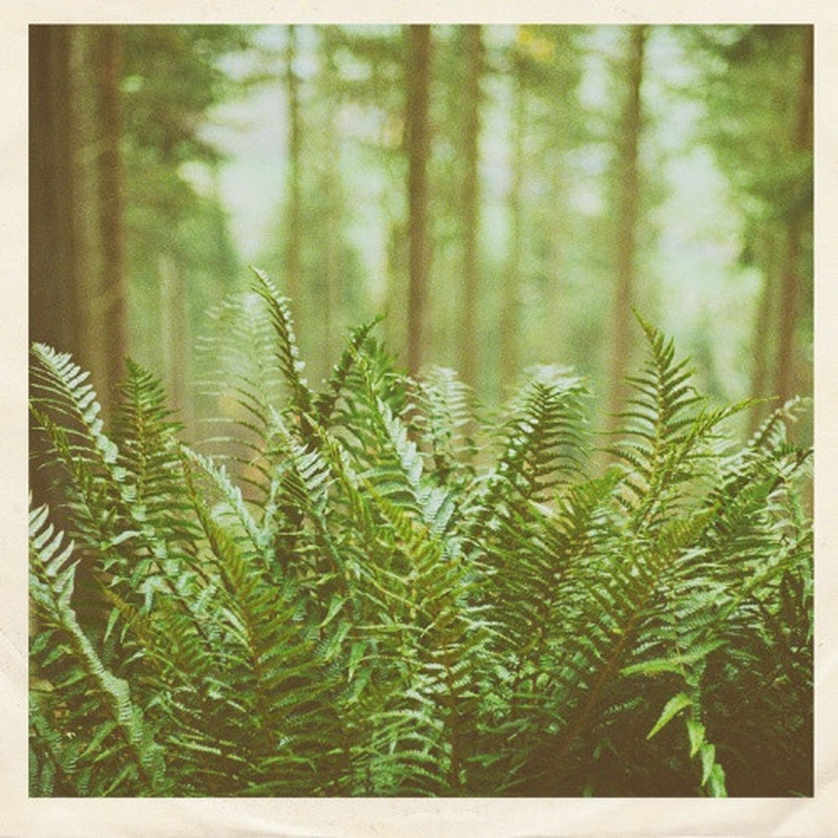 mtbrd – Just Visiting – 7″ Vinyl