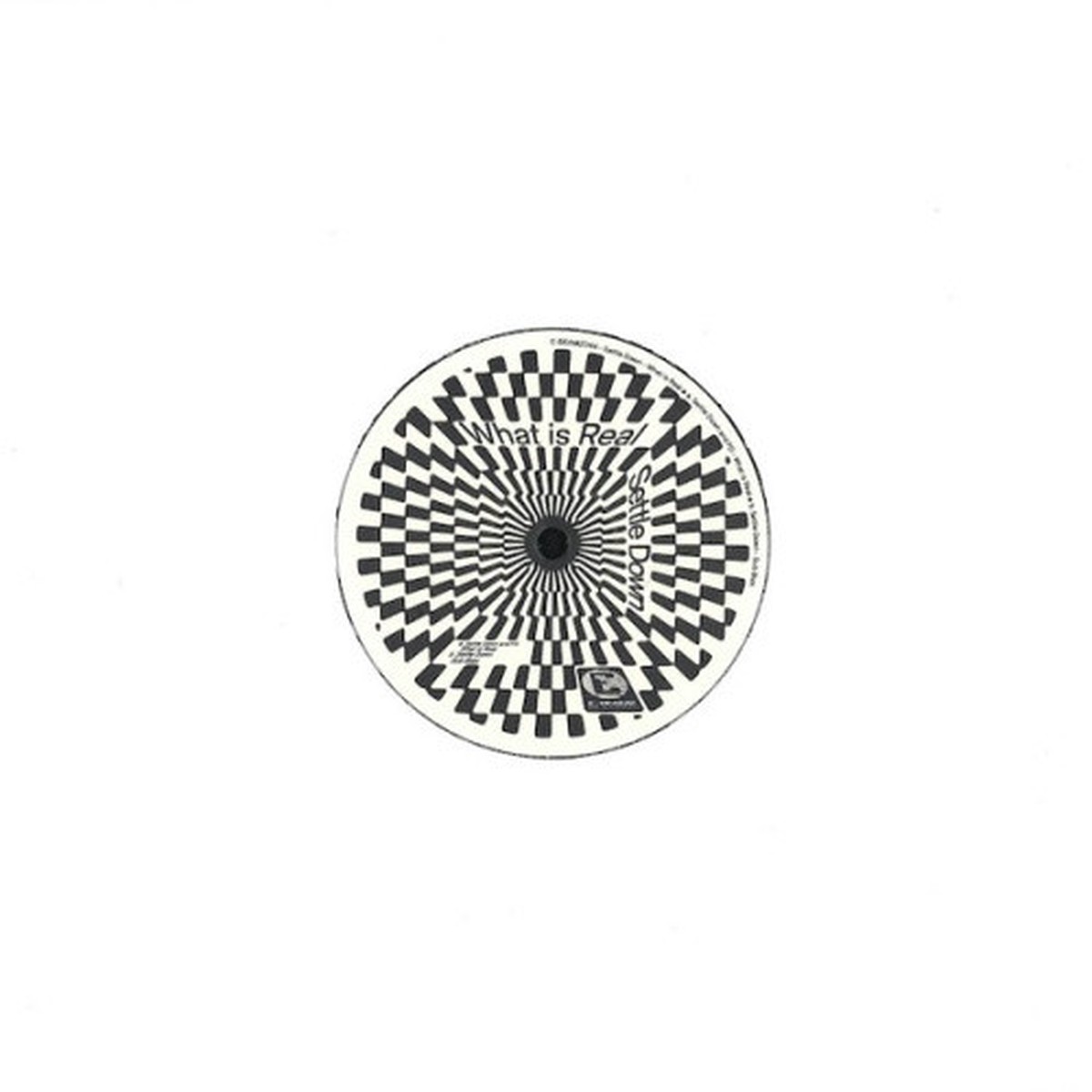 Settle Down – What Is Real / Sub Bias – 10″ Vinyl