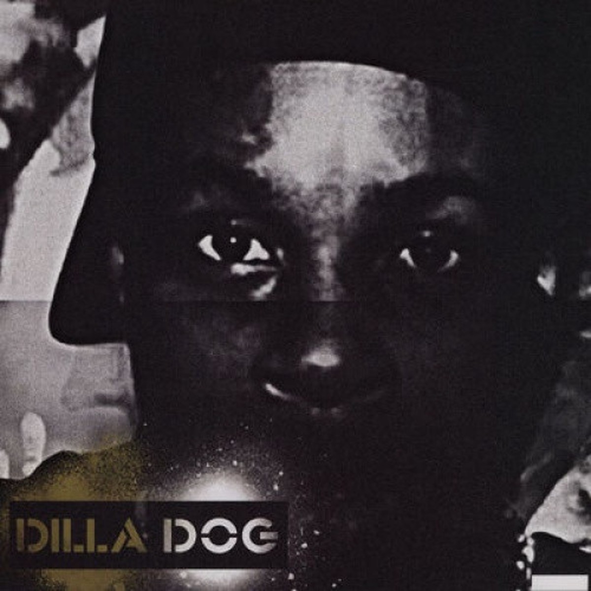 J Dilla – Dillatroit – 12″ Vinyl