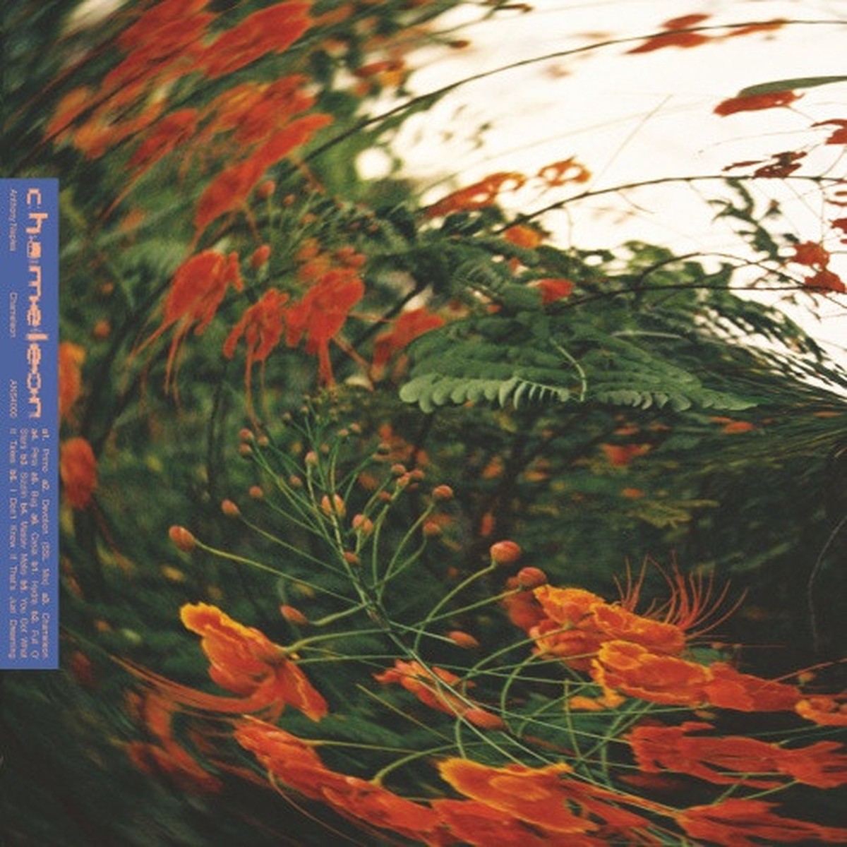 Anthony Naples – Chamelion – LP Vinyl