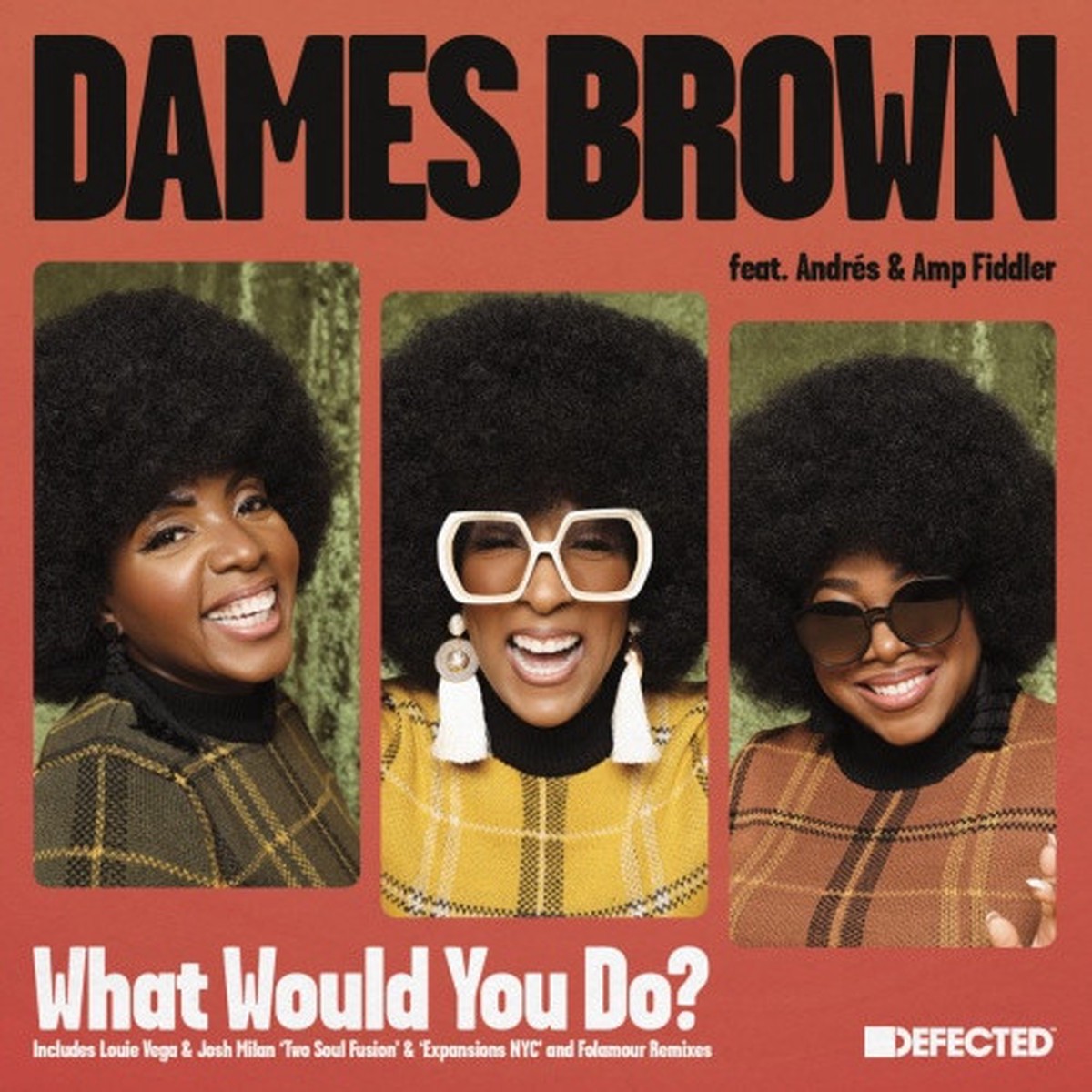 Dames Brown – What Would You Do? – 12″ Vinyl