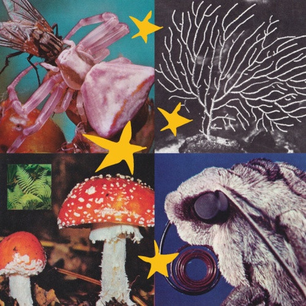 Various Artists – All Things Considered Vol. 2 – LP Vinyl