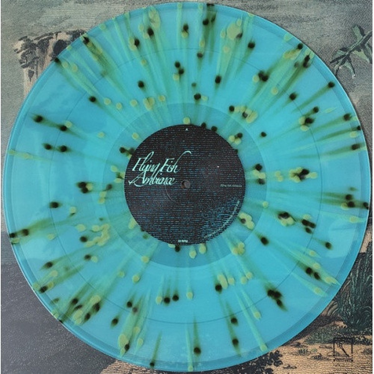 Rainforest Spiritual Enslavement – Flying Fish Ambience – 2x LP Colored Vinyl