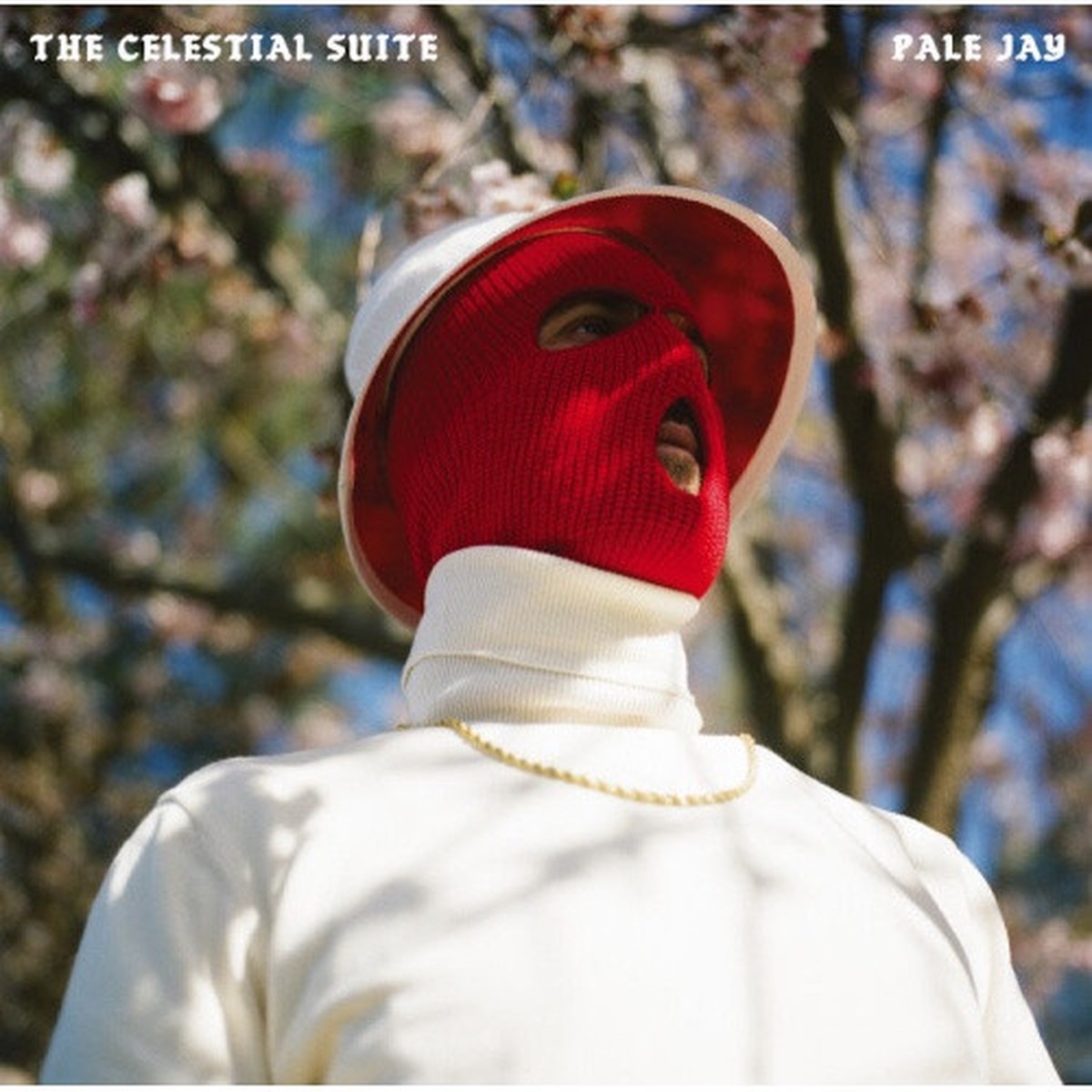 Pale Jay – The Celestial Suite – LP Vinyl