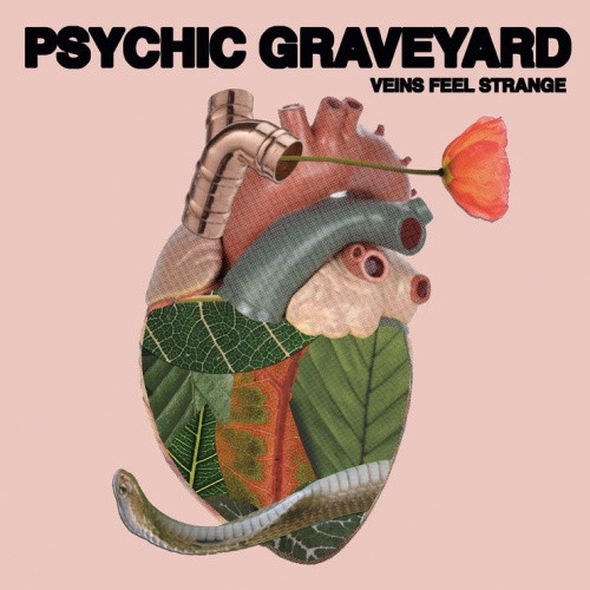 Psychic Graveyard – Veins Feel Strange – LP Colored Vinyl