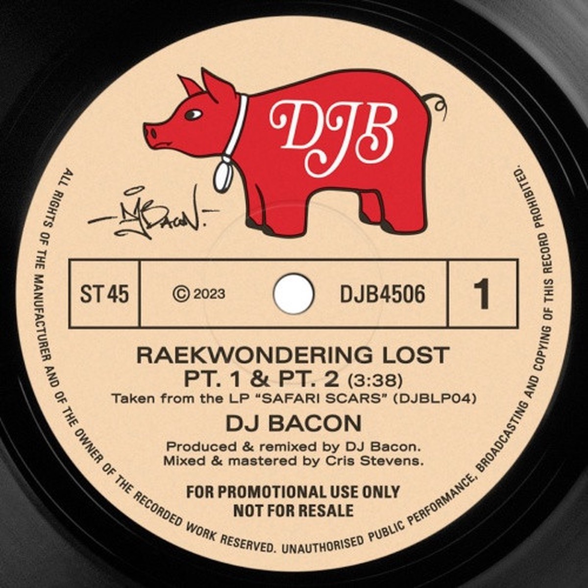 DJ Bacon – Raekwondering Lost – 7″ Vinyl