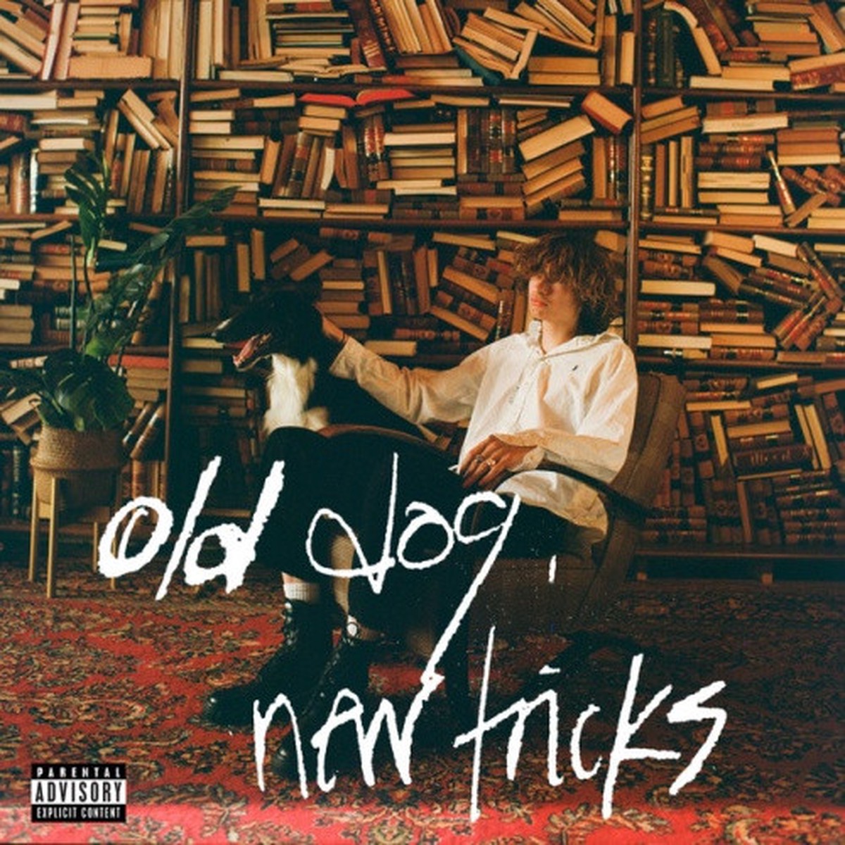 Glaive – Old Dog, New Tricks – LP Vinyl