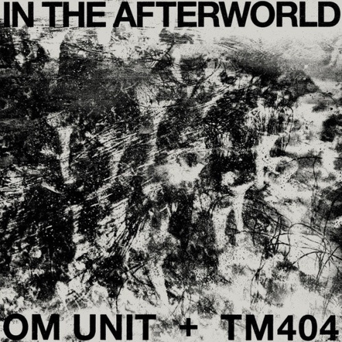 Om Unit + TM404 – In The Afterworld – LP Vinyl