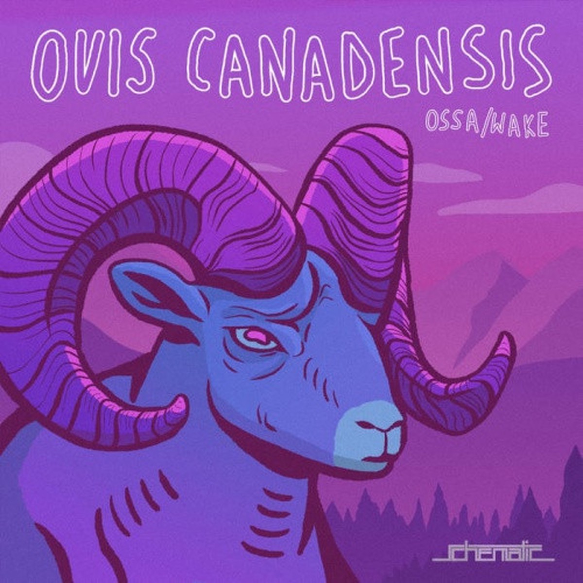 Ossa / Wake – Ovis Canadensis – 7″ Vinyl