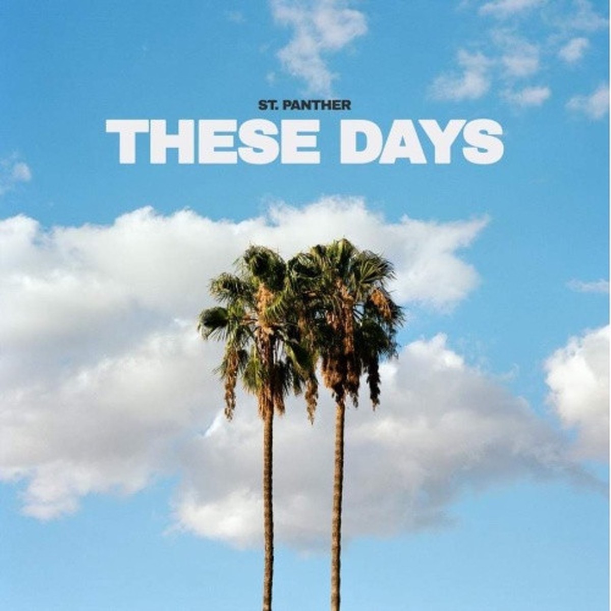 St. Panther – These Days – LP Vinyl