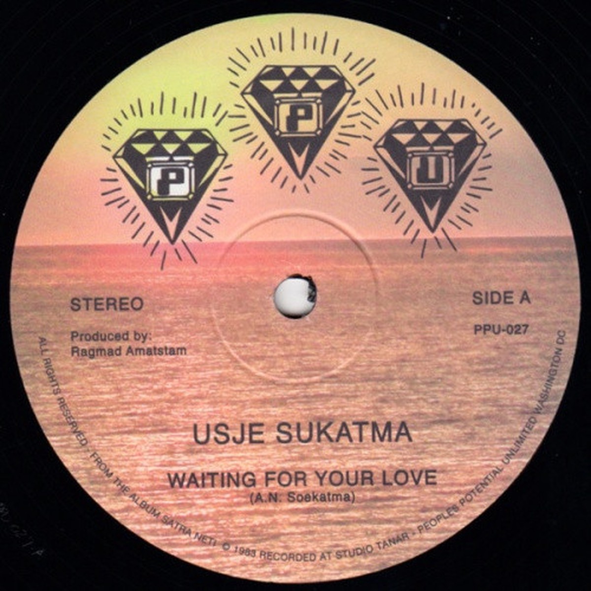 Usje Sukatma – Waiting For Your Love – 12″ Vinyl