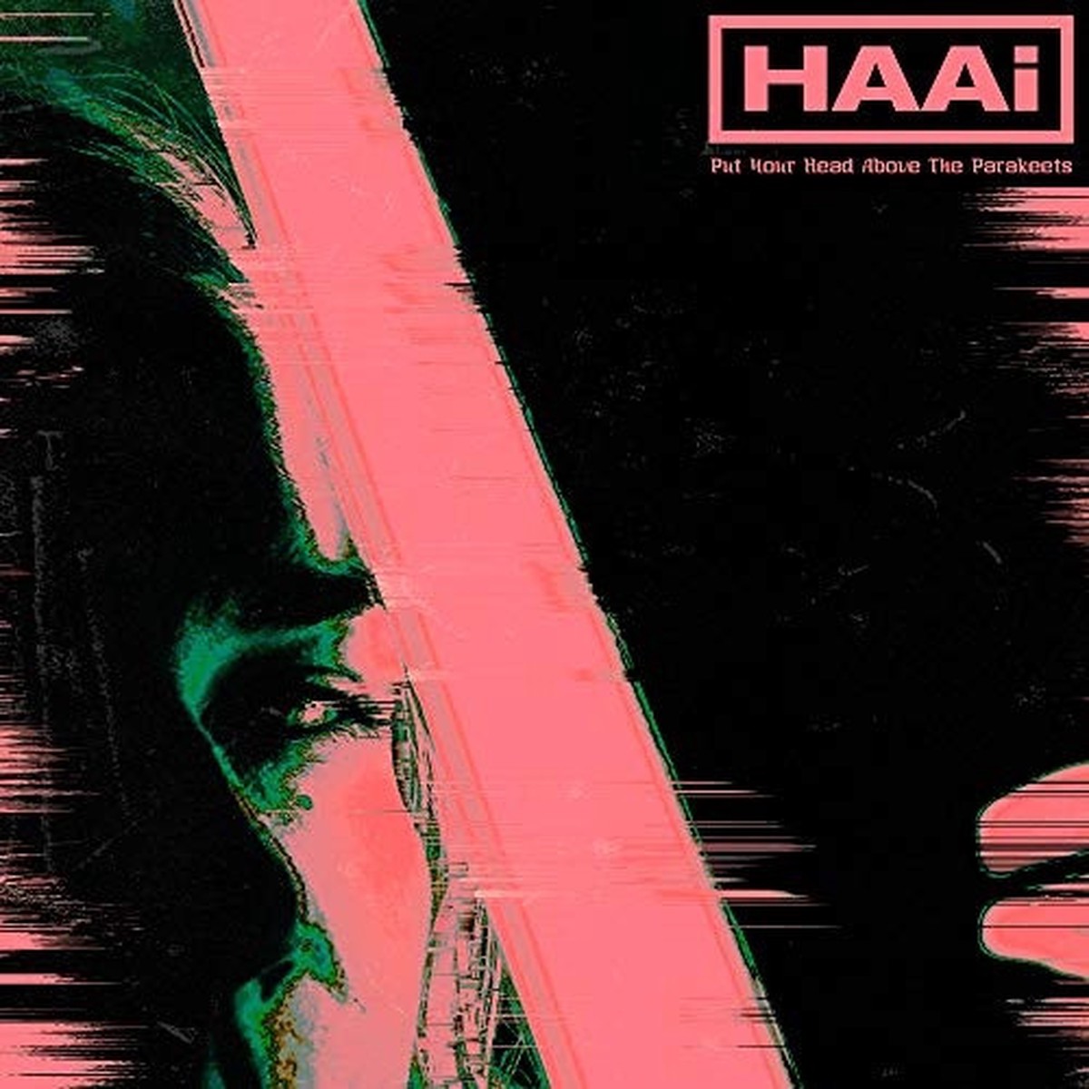 Haai – Put Your Head Above The Parakeets – 12″ Vinyl