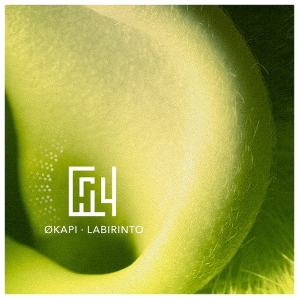 Okapi – Labirinto – LP Vinyl