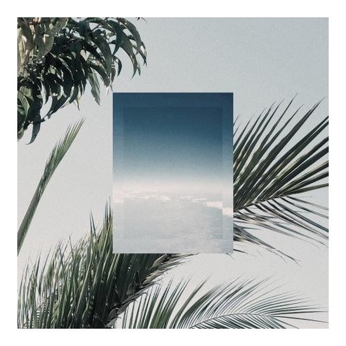 Jinsang – In Flight – LP Vinyl