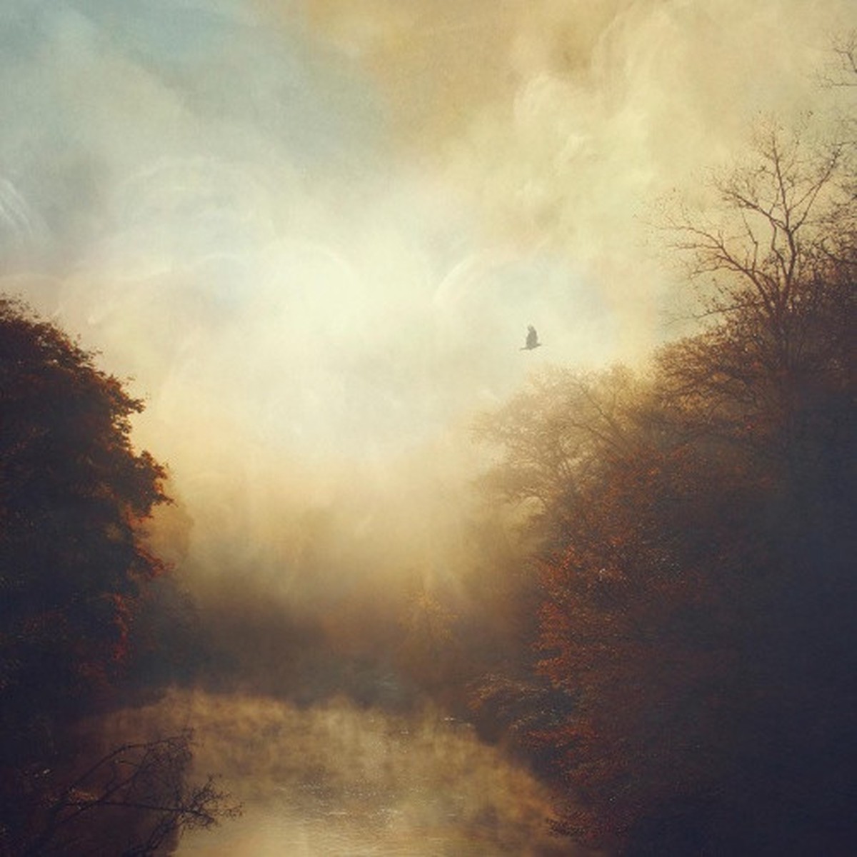 Stray Theories – This Light – LP Colored Vinyl