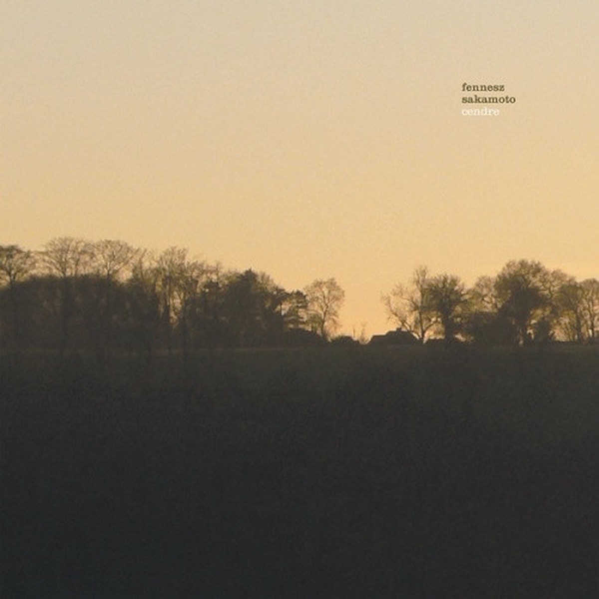 Fennesz Sakamoto – Cendre – 2x 10″ Vinyl