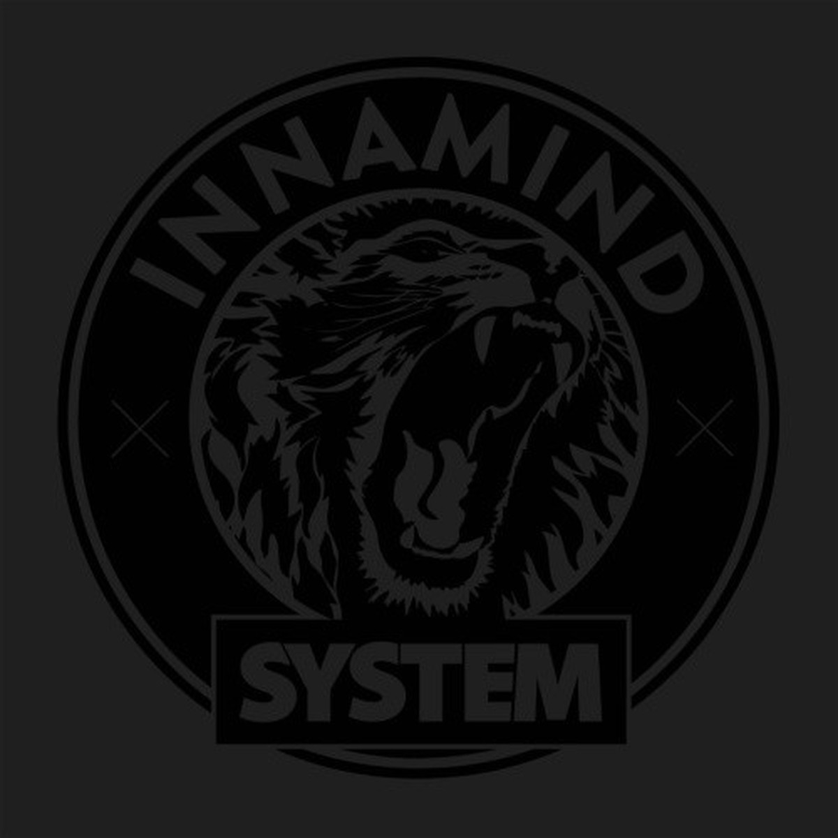 Various Artists – INNASYSTM001 – 2x LP Vinyl