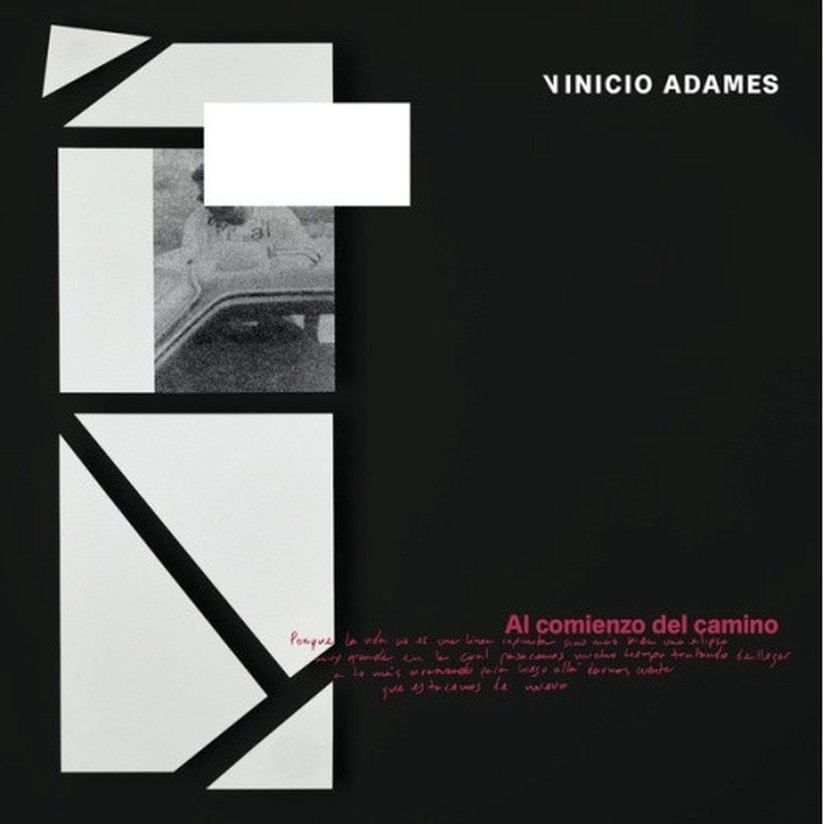 Vinicio Adames – Al Comienzo De Camino – LP Vinyl