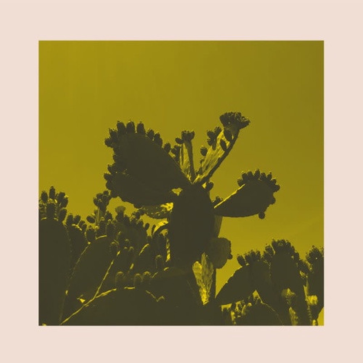 Bright & Findlay – Slow Dance – 12″ Vinyl