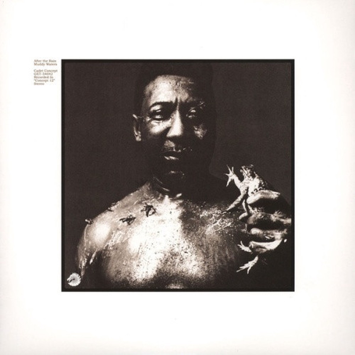 Muddy Waters – After The Rain – LP Vinyl