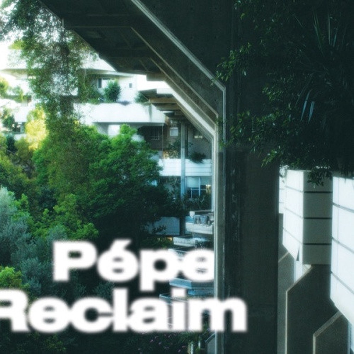 Pepe – Reclaim – LP Vinyl