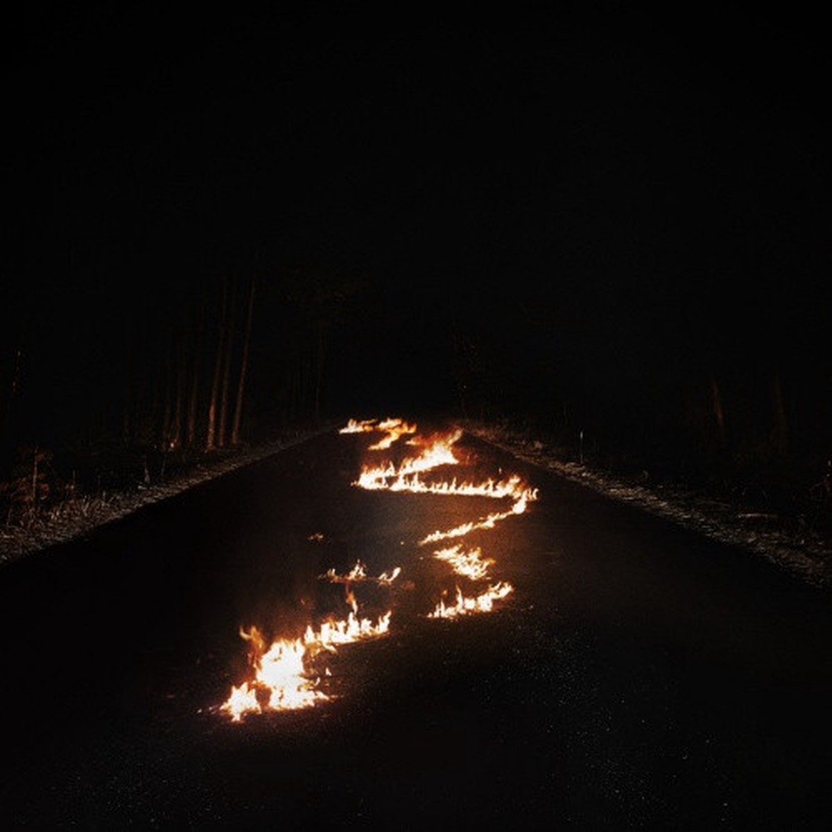 Bob Moses – Battle Lines – LP Vinyl
