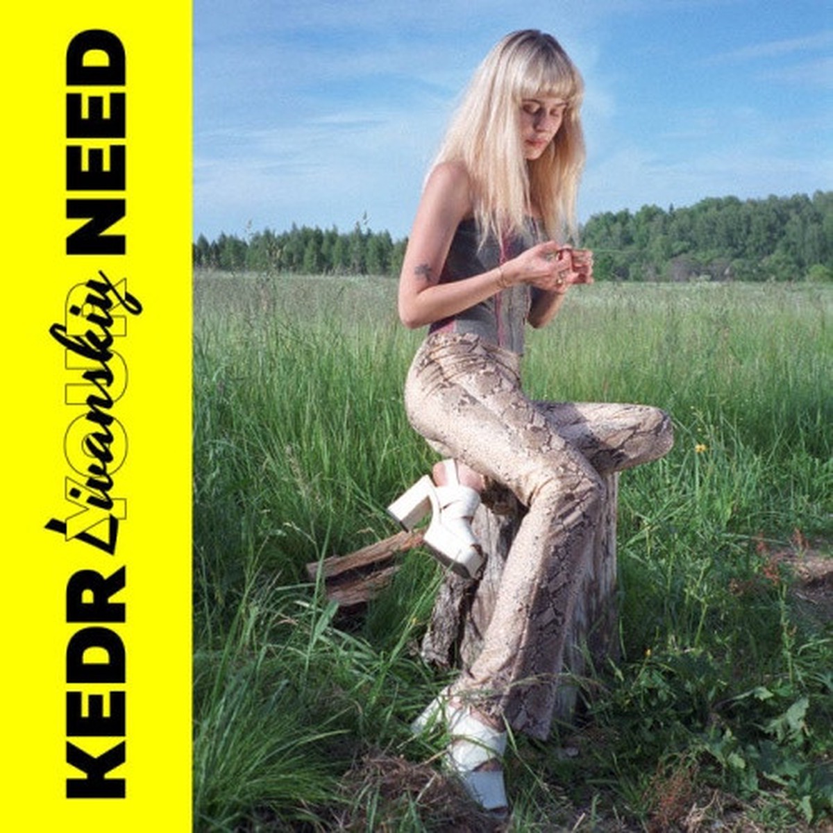 Kedr Livanskiy – Your Need – LP Vinyl