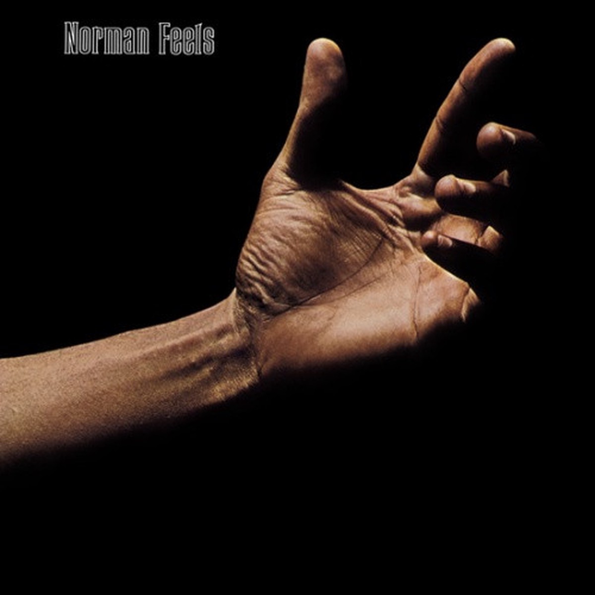Norman Feels – Norman Feels – LP Vinyl