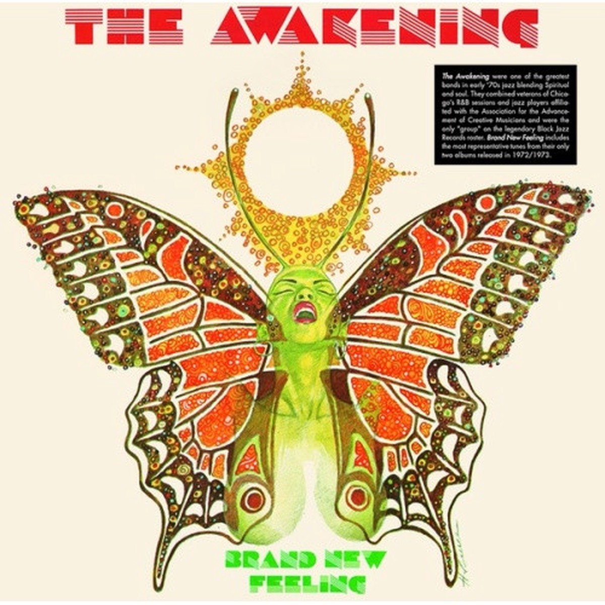 The Awakening – Brand New Feeling – LP Vinyl