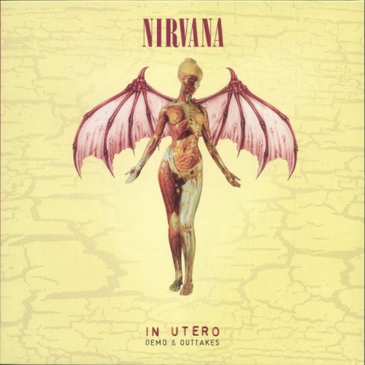 Nirvana – In Utero Demo & Outtakes – LP Vinyl