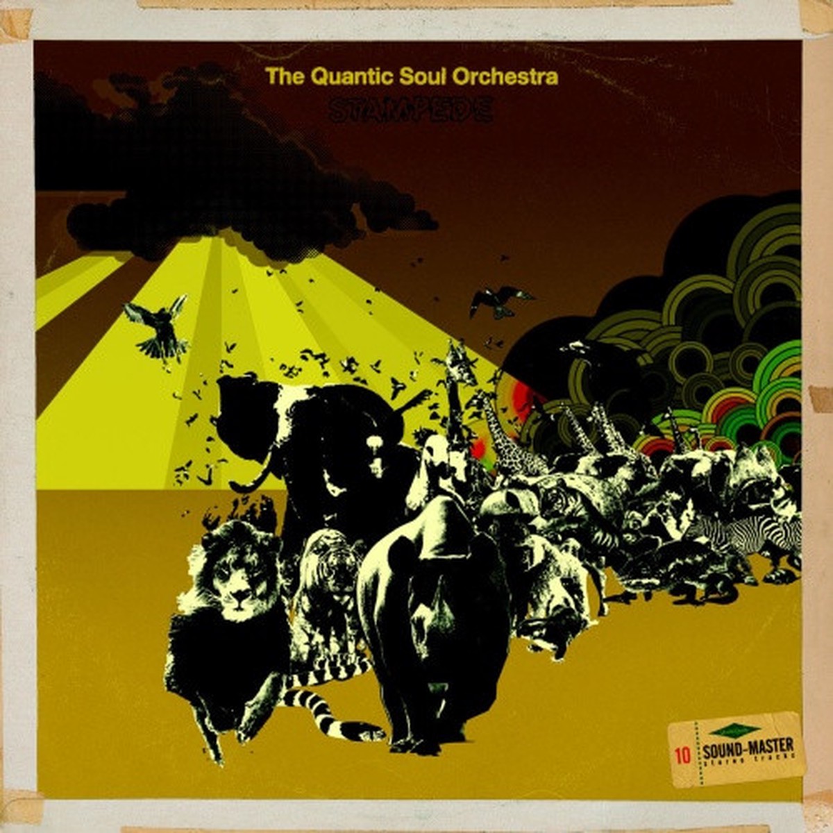 The Quantic Soul Orchestra – Stampede – LP Vinyl