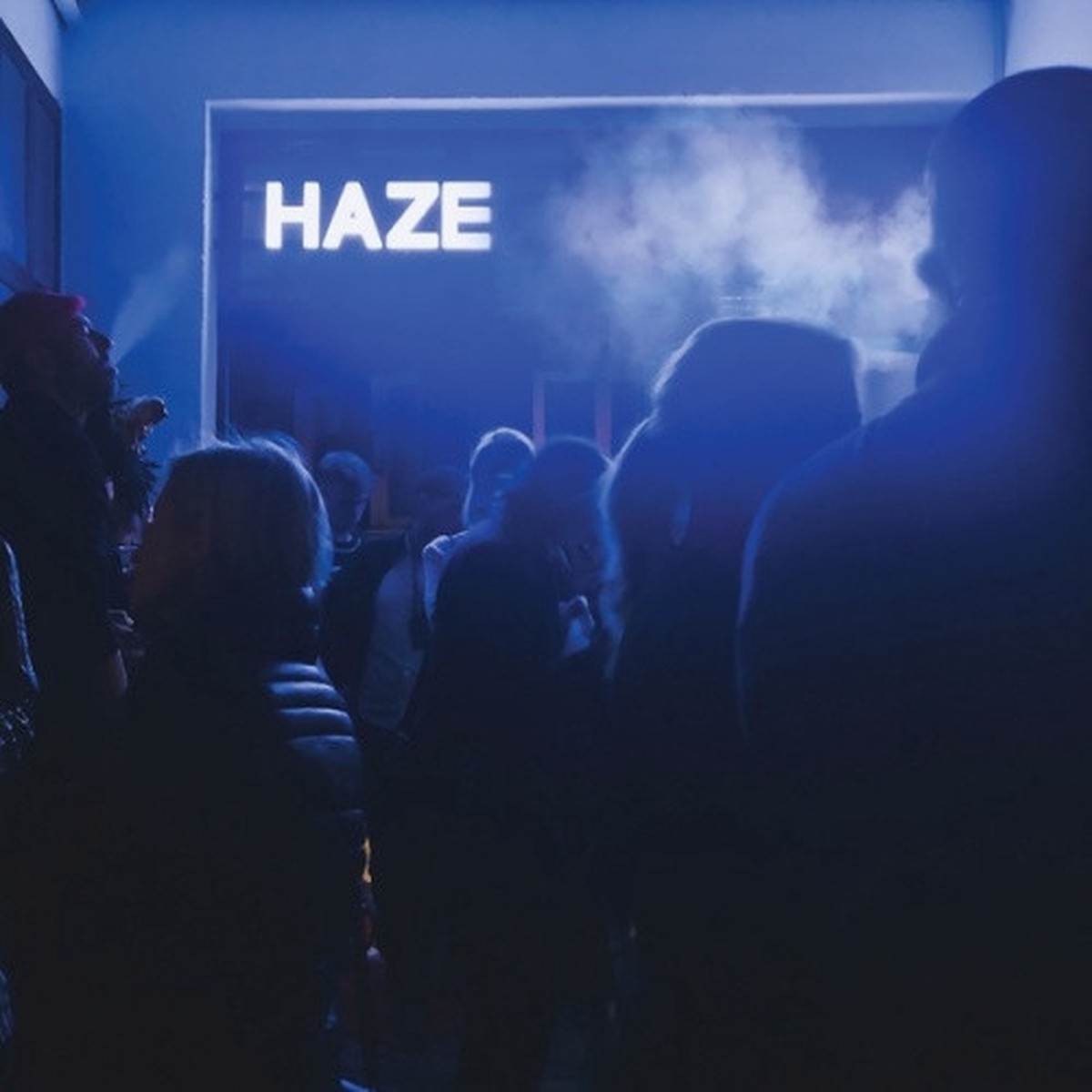 Fluxion – Haze – 2x LP Vinyl